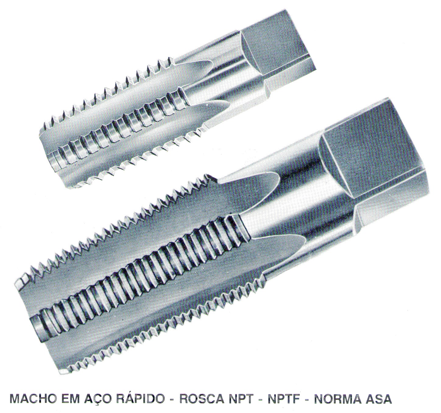 Macho cnico